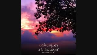 ❤️ Good night,....,, My lovely people's 