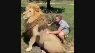 یه شیرم وقتی که مهربون باشی رام میشه