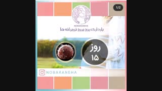 روز پانزدهم بارداری