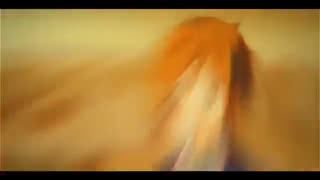 tamako love story AMV