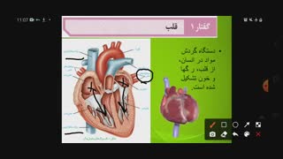 جلسه اول_رگها و حفرات قلب_رگهای کرونر