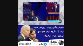 سگ زرد برادر شغاله