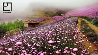 طبیعت گردی در مناطق گردشگری تالش