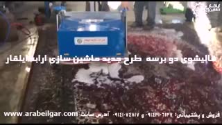 قالیشوی دو برسه طرح جدید