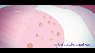 چرخه عادت ماهیانه