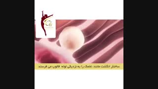 فیلم جالب تخمک گذارى و بارورسازى