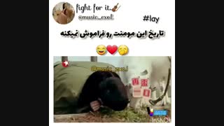 ××××لی اکسو××××