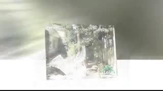 خرید و فروش باغ ویلا در زیبادشت