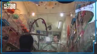 تهدید دوباره آنفولانزای پرندگان در راه است؟