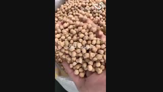 خرید عمده نخود کرمانشاه