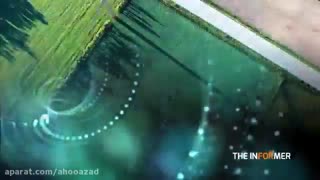 عاقبت پیروی از تفکر فمنیسم؛ حتما ببینید