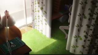 انیمه سینمایی A Whisker Away 2020 با دوبله فارسی