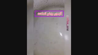 فسنجون مجلسی