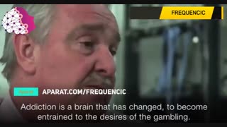 تاثیر قمار بر مغز یک قمارباز چگونه است؟