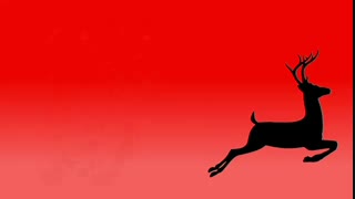 حیوانات وسیله تفریح و سرگرمی نیستند.