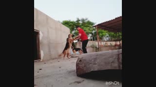 بازی با سگ ژرمن