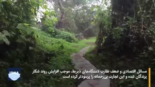 تالاب فریدونکنار؛ میزبان سابق، قتلگاه امروز