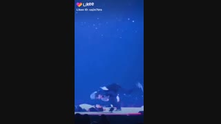 چه حرکتی هم میرن