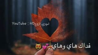 ✨یا حبیبی الکلب سایر مالک...