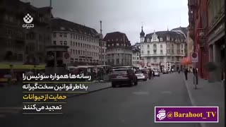 سوئیس کشوری رویایی برای انسانهای حقیر - Switzerland