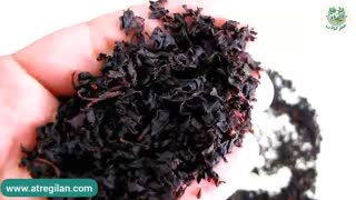 همه چیز درباره چای سرگل | چطور از روی ظاهر چای سرگل رو تشخیص بدیم؟