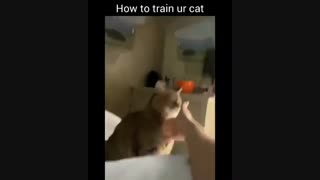 اره این جوریاس