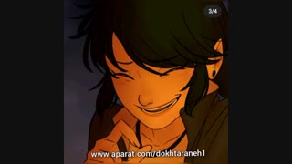 یک فیلم کوتاه خنده دار از لیدی باگ