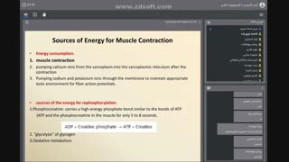 Physiology Dr Sharif 12