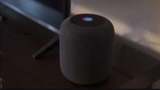 قابلیت جدید سیری در سیستم عامل iOS 14.3 ؛ درآوردن صدای حیوانات و ...