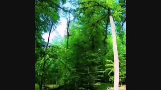 اهنگ نرو محمد حاجی پور