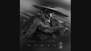 آهنگ جدید دنیین و افسا به نام نینجا + Danien Ft Afsa – Ninja