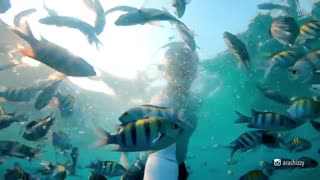 جزیره زیبای کیش _ Beautiful Kish Island