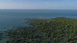 جنگل حرا، جزیره قشم