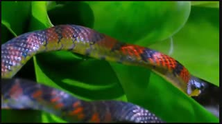 دنیای کوچک 1