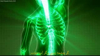 فیلمی از رباعیات عمر خیام تهیه شده در برلین
