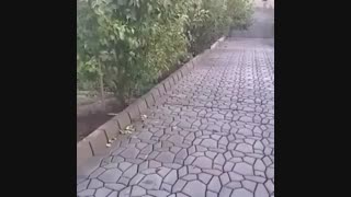 شابلون های سیمان کاری