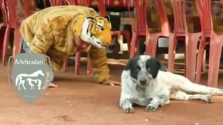 دوربین مخفی باحال (ببینید و بخندید)