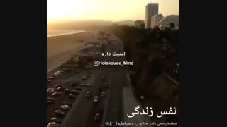 دکتر هلاکویی