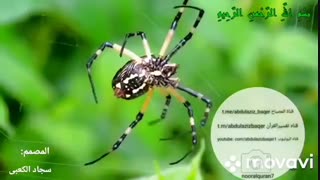 الشیخ عبدالعزیزباقر