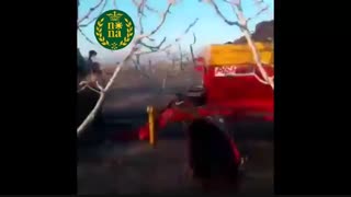 اهمیت کوددهی زمستانه در باغات