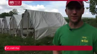 آموزش   پرورش مرغ های گوشتی در منزل