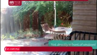 آموزش تربیت  چگونه پرنده را در غیاب خود سرگرم کنیم