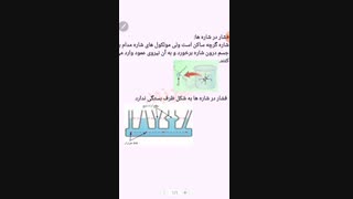 فیزیک دهم فصل دوم.فشار در شاره ها و ظروف مرتبط ونقاط هم تراز