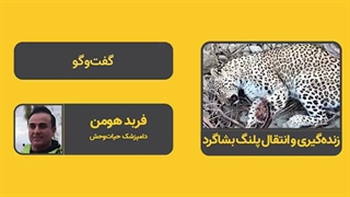 زنده‌گیری و انتقال پلنگ بشاگرد، گفت‌و‌گو با فرید هومن