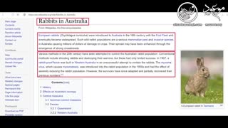 ایلومیناتی و قتل در لانه خرگوش