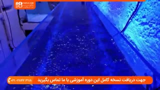 آموزش چند نکته مهم در مورد نگهداری از مرجان آبی در آکواریوم