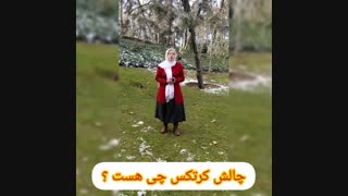 چالش کرتکس یعنی چی؟