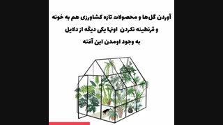 دلایل ابتلای گیاه به شپشک آرد آلود