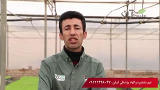 اهمیت بور و نقش آن در کشاورزی