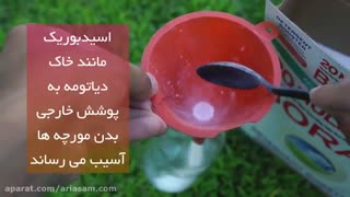 روش های خانگی دفع مورچه یا سموم تخصصی مورچه کش ؟